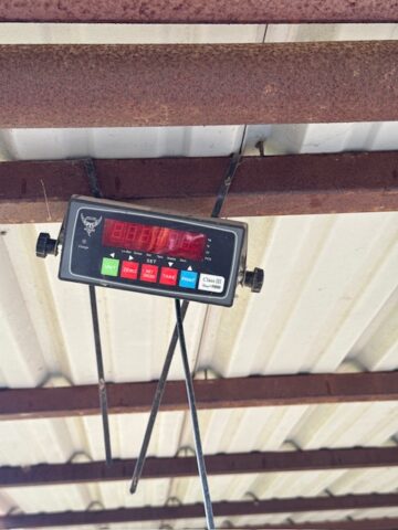 Farm auctions north texas