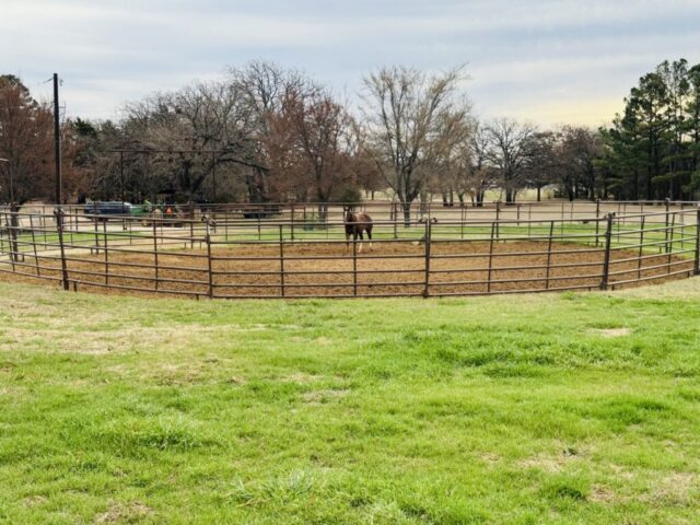 Horse working round pen in online auction offered by Kiefer Auctioneers in Texas