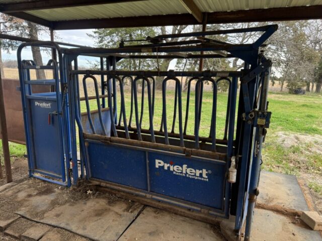 Priefert squeeze chute for sale in online auction offered by Kiefer Auctioneers in Texas