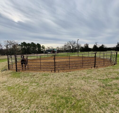 Horse round pen in online farm auction offered by Kiefer Auctioneers in Texas