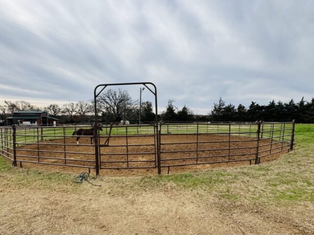 Horse round pen for sale in online farm auction offered by Kiefer Auctioneers in Texas