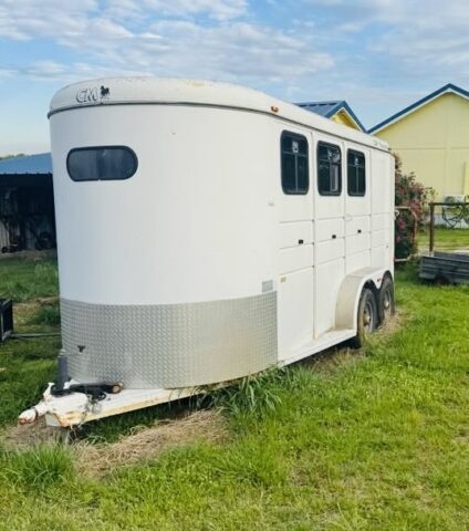 CM Dakota 3-horse trailer for sale in upcoming public auction offered by Kiefer Auctioneers in Texas